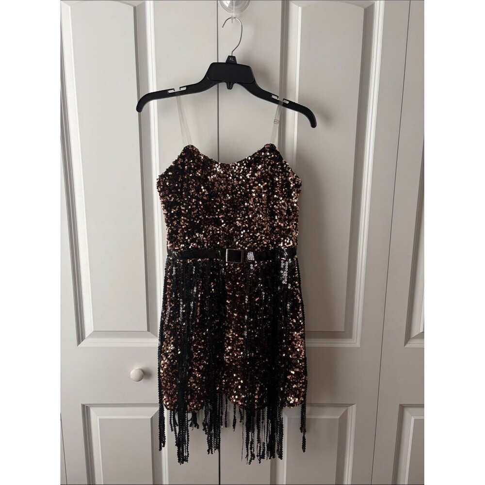 Blue B Sequin Fringe Party Dress Bronze & Black Flapper Party Costume Retro